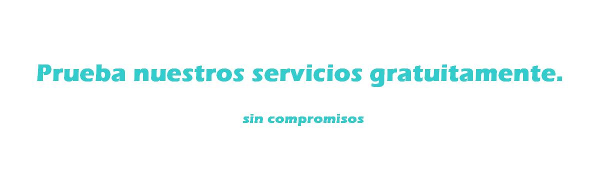 Prueba de servicios